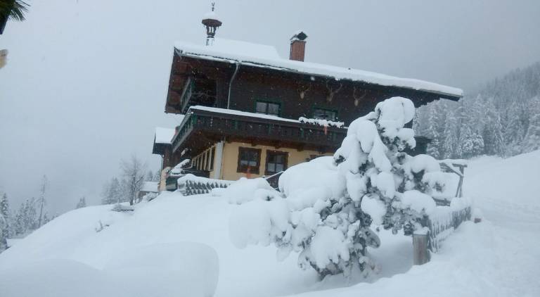 foto6