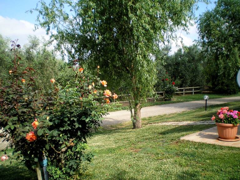 foto25
