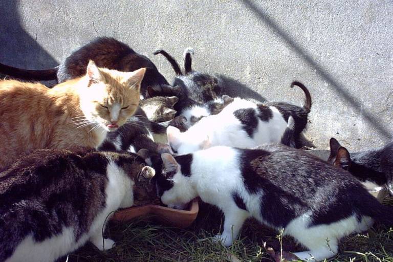 foto15