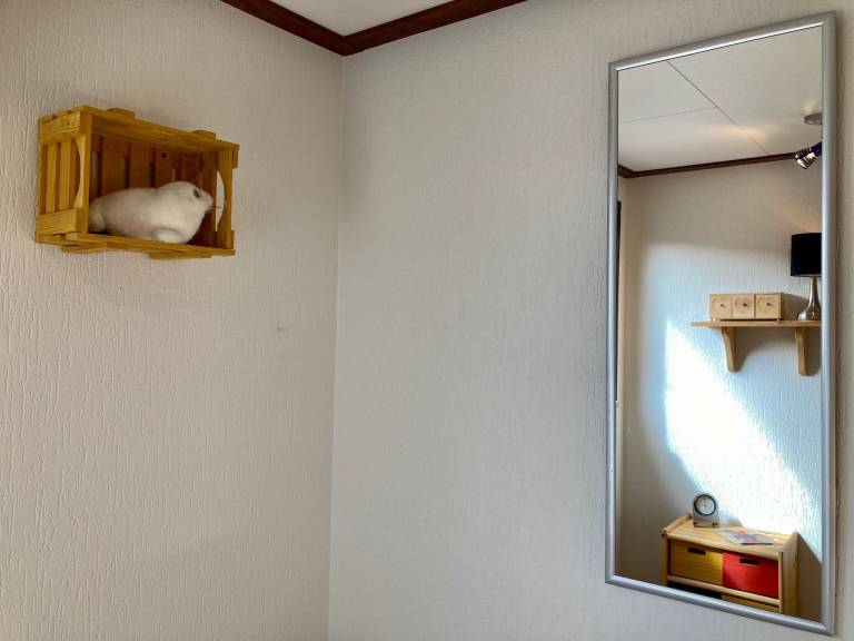 foto13