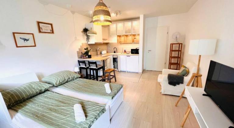 Apartment with 1 room for 2 persons in Budapest
