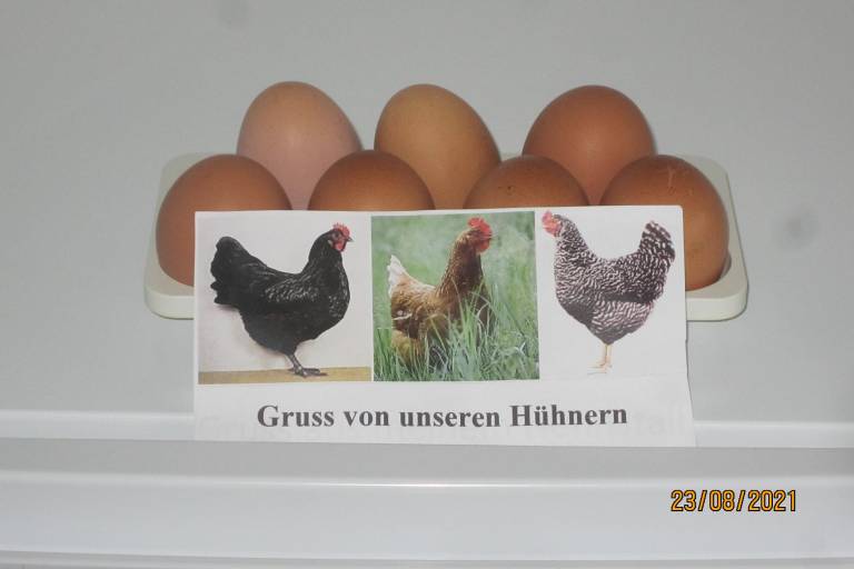 foto11