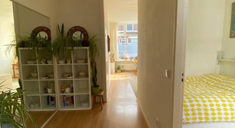foto9