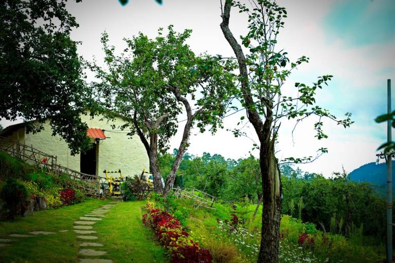 THE PEAR COUNTY — photo 5