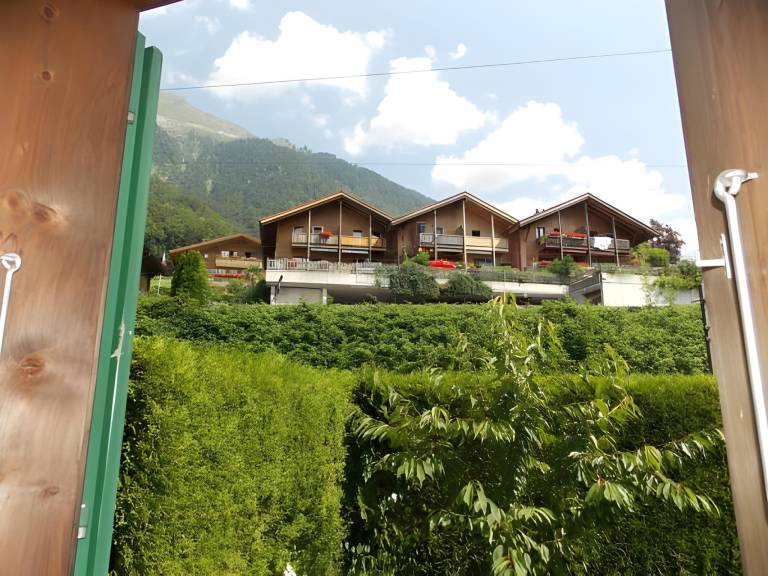 foto5