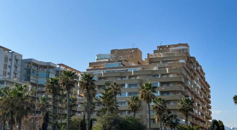 Holiday apartment with pool — photo 5