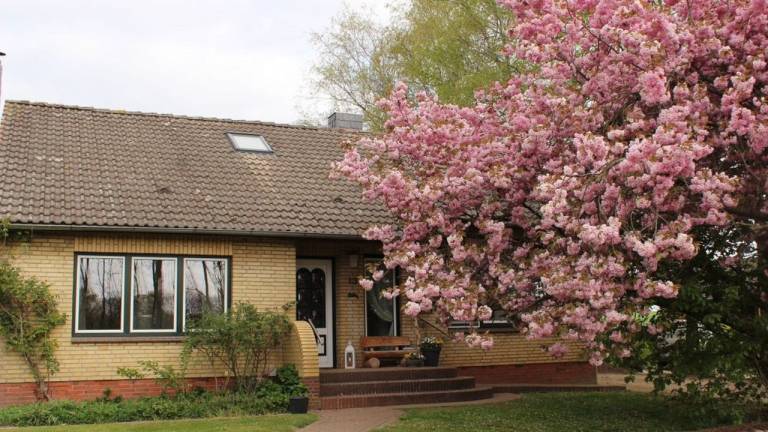 Ferienhaus Albersdorf