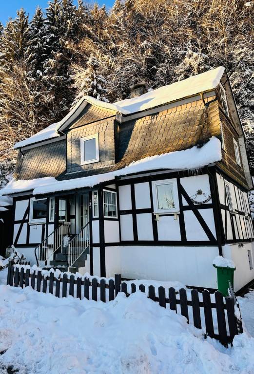 House with grill & terrace in Winterberg