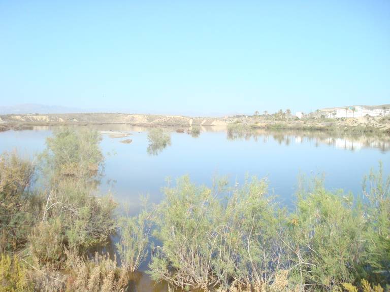 foto5