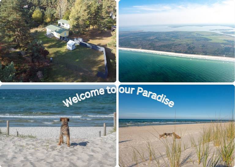 Ferienhaus in Pruchten, Deutschland f&uuml;r max. 4 Personen