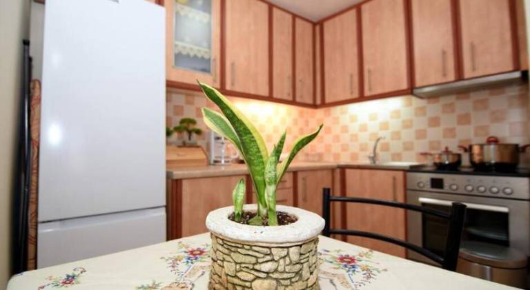 Plataneli House — photo 4