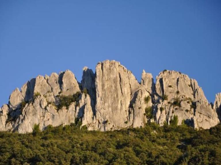 foto41