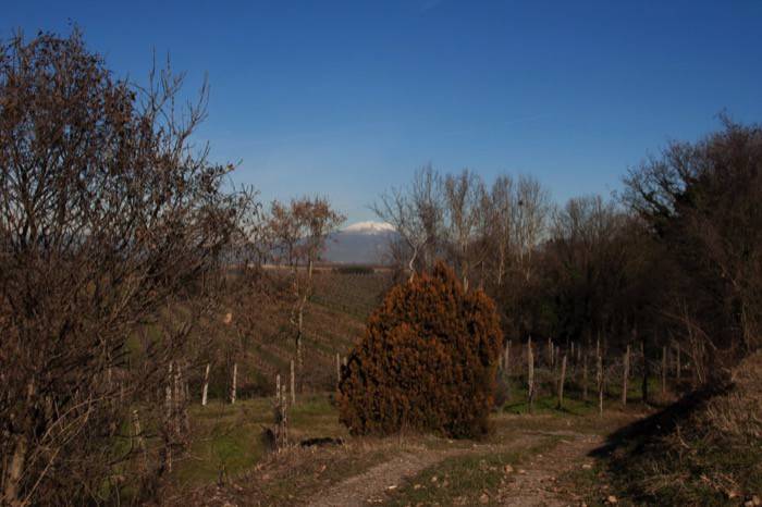 foto23