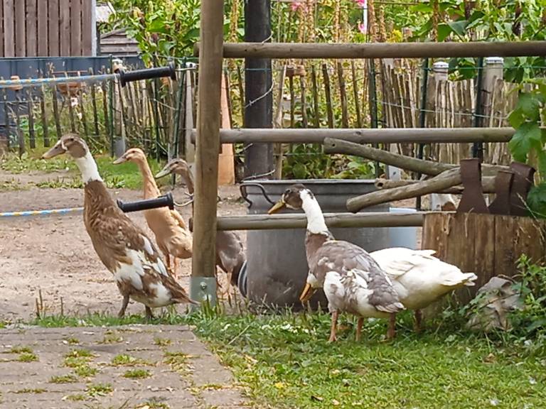 foto42