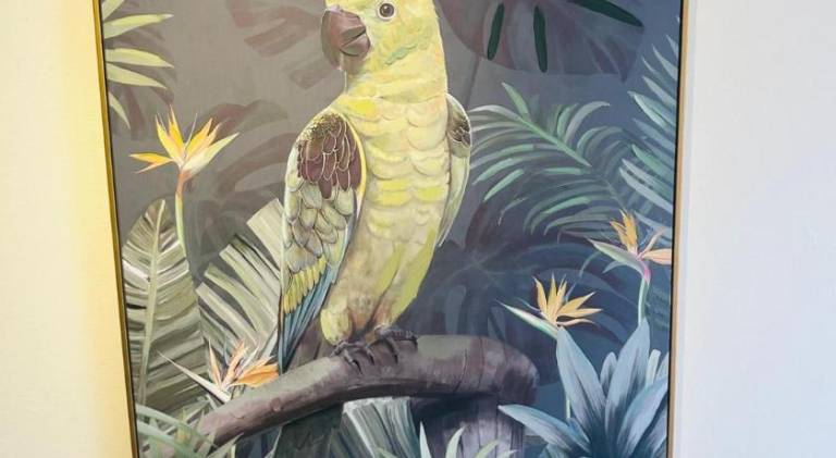 Parrot House — photo 3