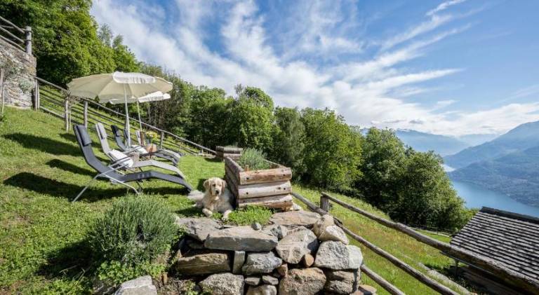 Farm with terrace & yard — photo 4