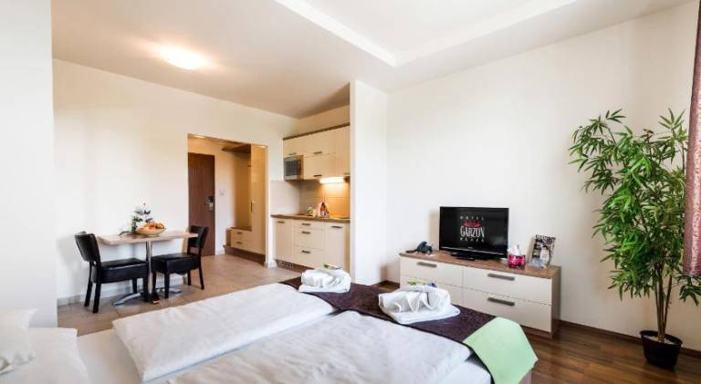 Serviced apartment with pool, sauna & terrace in Sopron