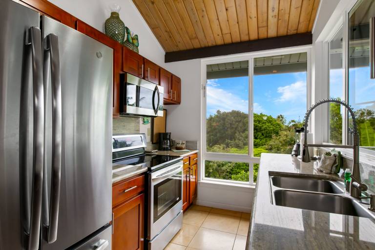 Condo Hanalei