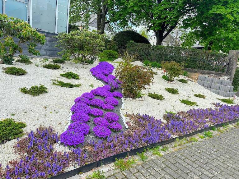 foto2