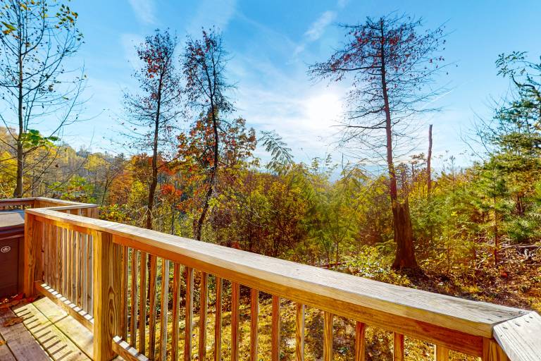 Cabin Gatlinburg