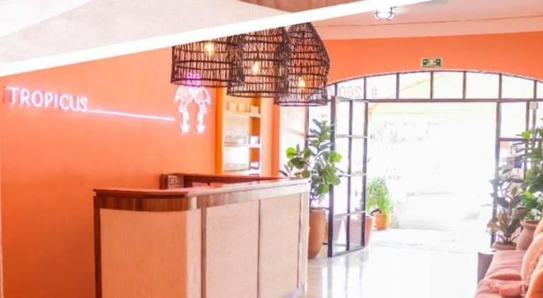 Hotel Tropicus Boutique in Puerto Vallarta