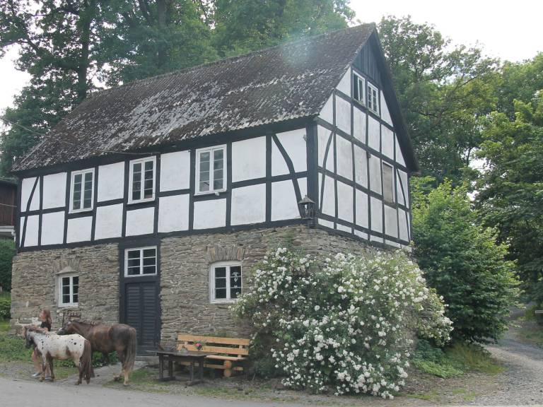 Ferienhaus Eslohe (Sauerland)