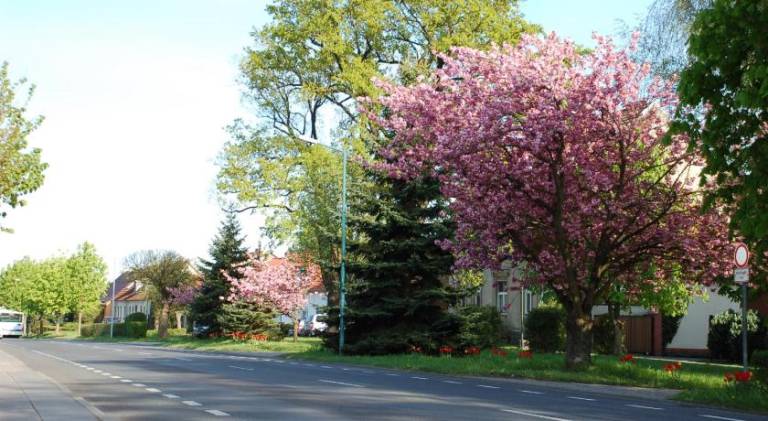 Apartament Frankfurt nad Odrą