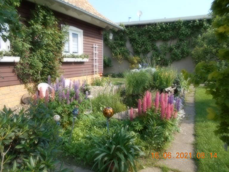 foto7