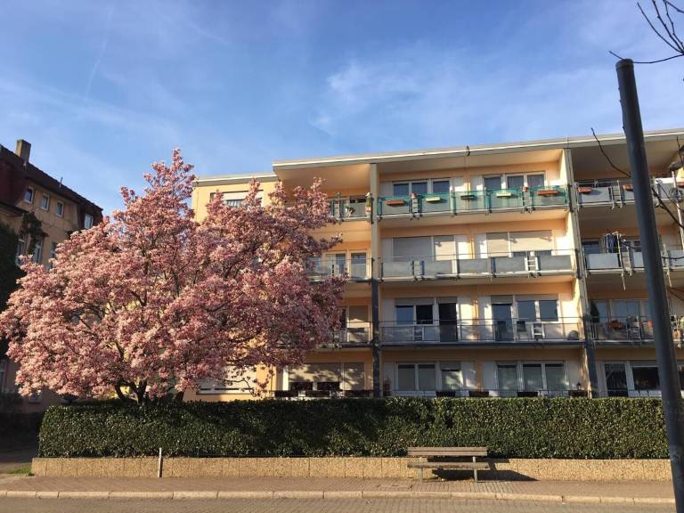 Ferienwohnung  Müllheim