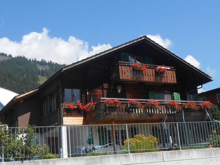 foto1