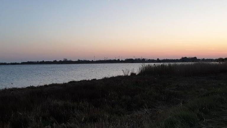 foto16