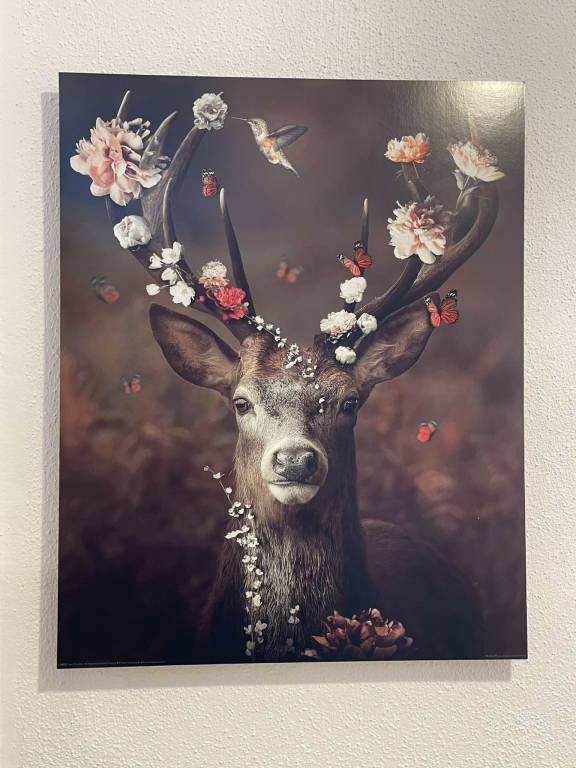 foto43