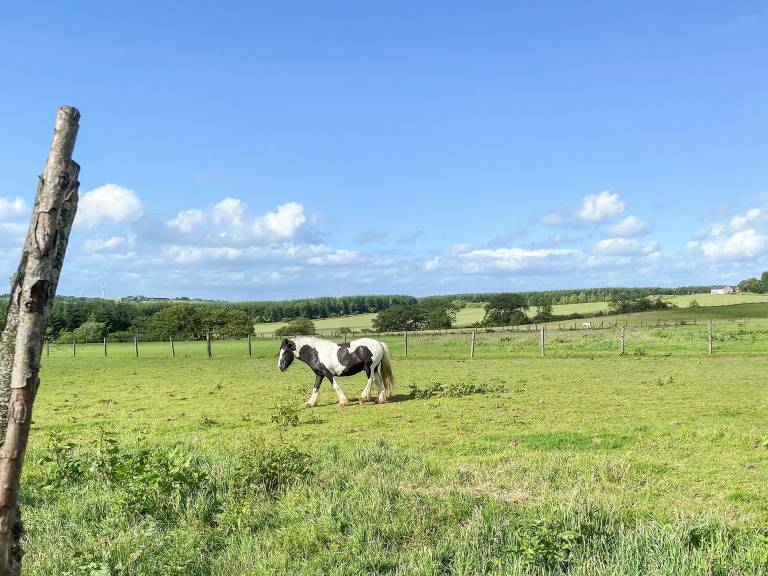 foto21