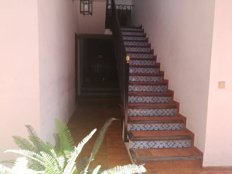 Bright Apartment Santa Cruz, Pets Welcome, Air Conditioning — photo 5