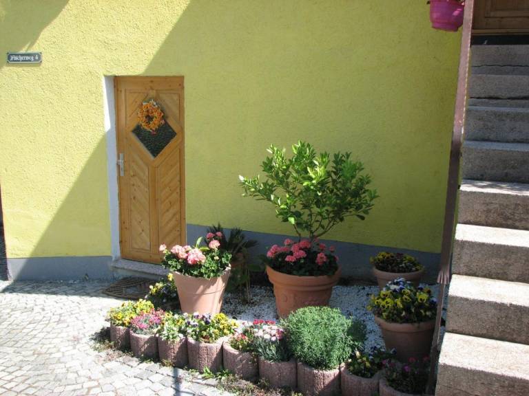 foto2