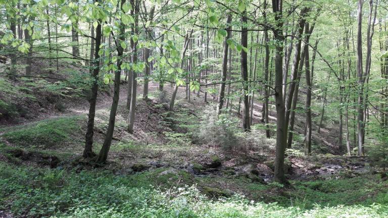 foto15