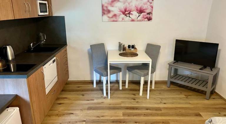 Nice holiday apartment with sauna, pool & barbeque | Pets allowed — photo 5