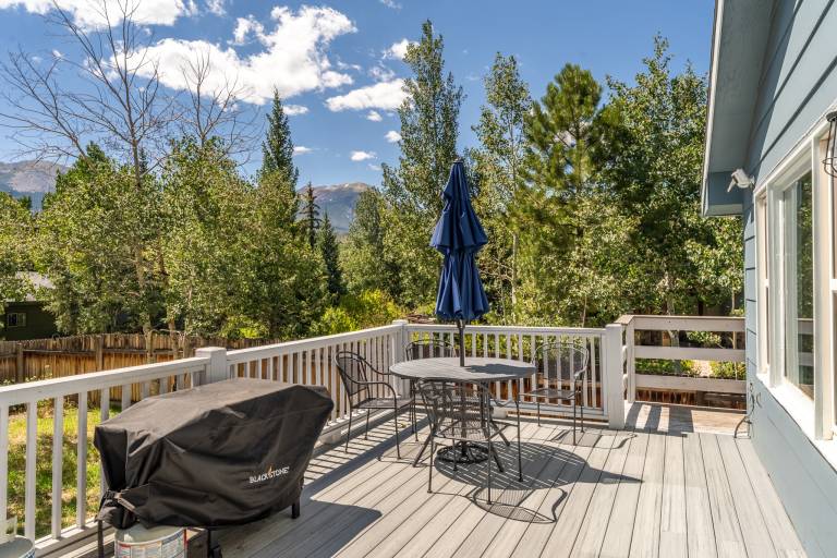 Pet-Friendly with Private Fenced-In Backyard and Beautiful Mountain Views! — photo 2