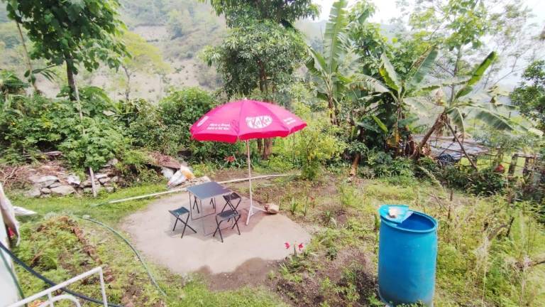 CHHETRIS' HOMESTAY — photo 3