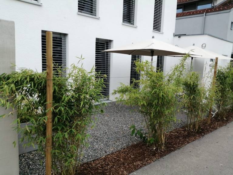 Studio with terrace | Pet-friendly — photo 3
