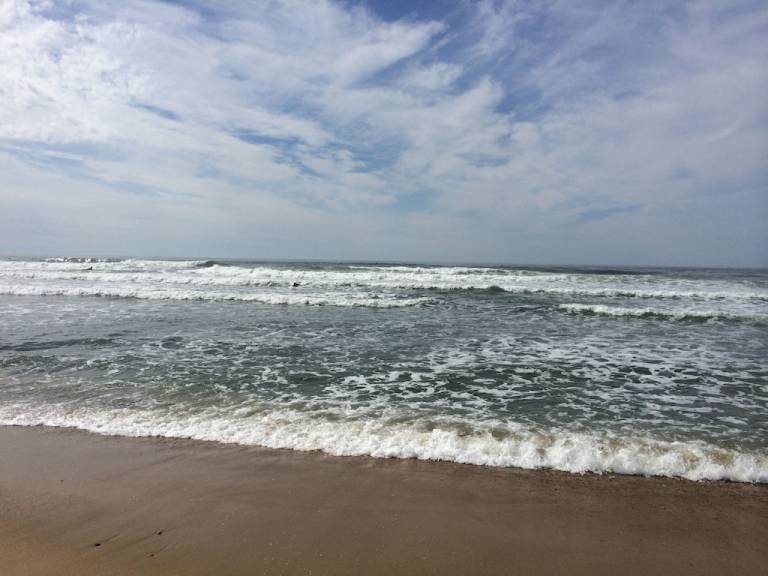 Cottage  Montauk