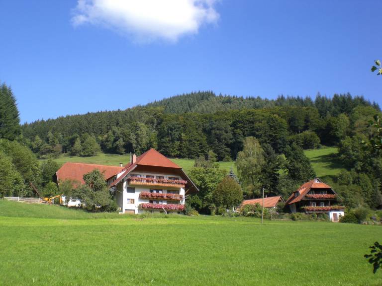 foto12