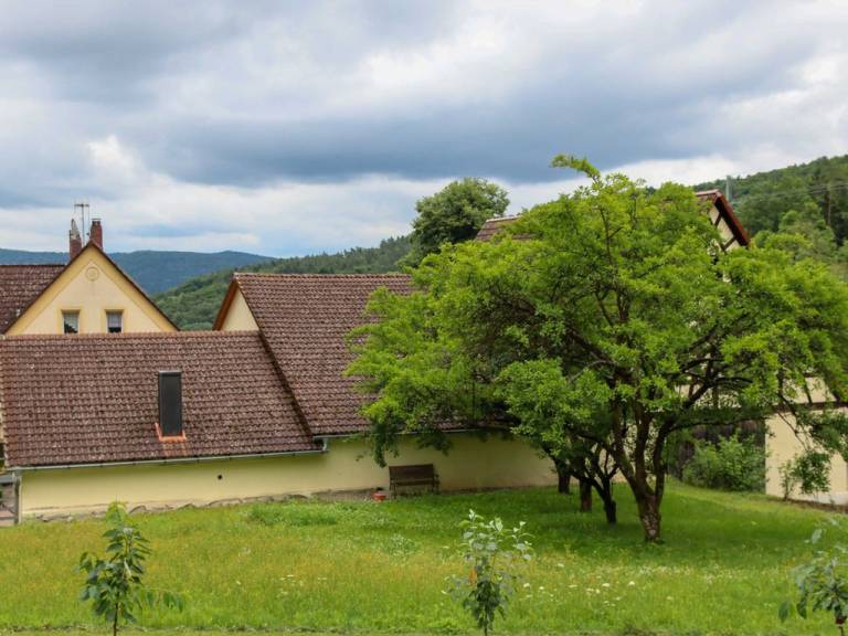 foto19