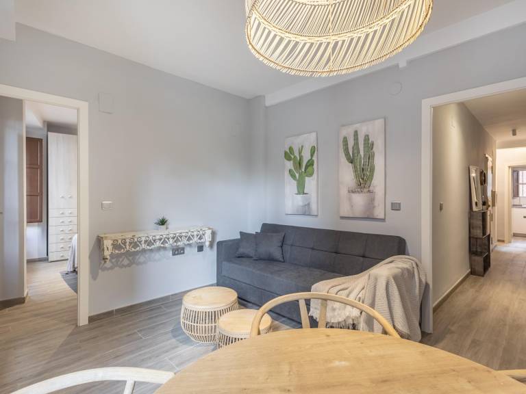 Luxury renovated apartment in Granada historic center, 2 bedrooms — photo 4