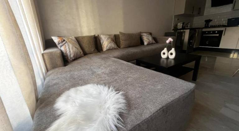 Beautiful rental apartment | Pets are welcome in Casablanca