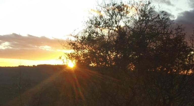 Lovely apartment | Pets allowed in Montepulciano