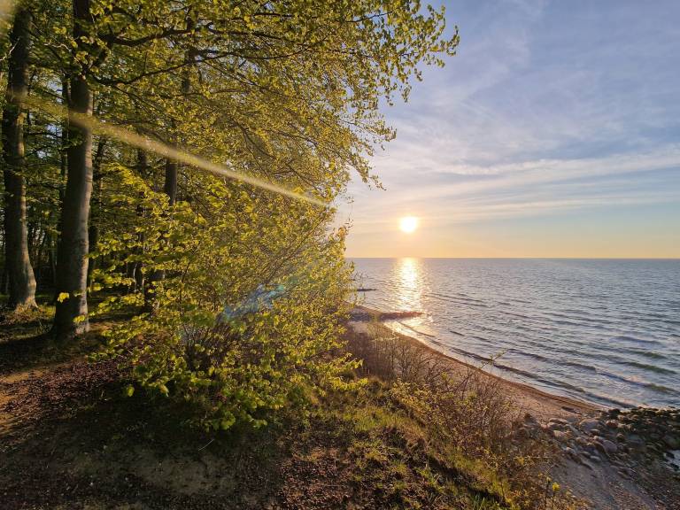 foto16