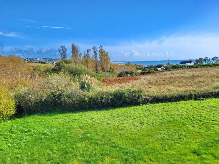 foto41