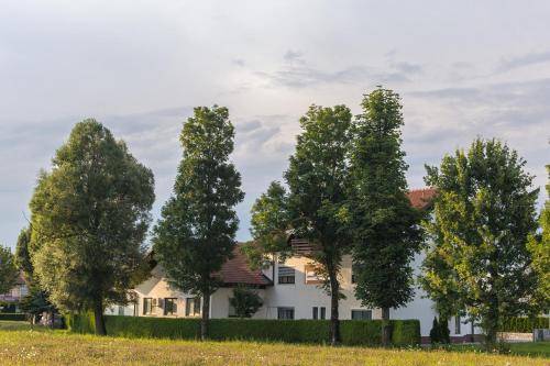 Prenočišče z zajtrkom Veliki Otok
