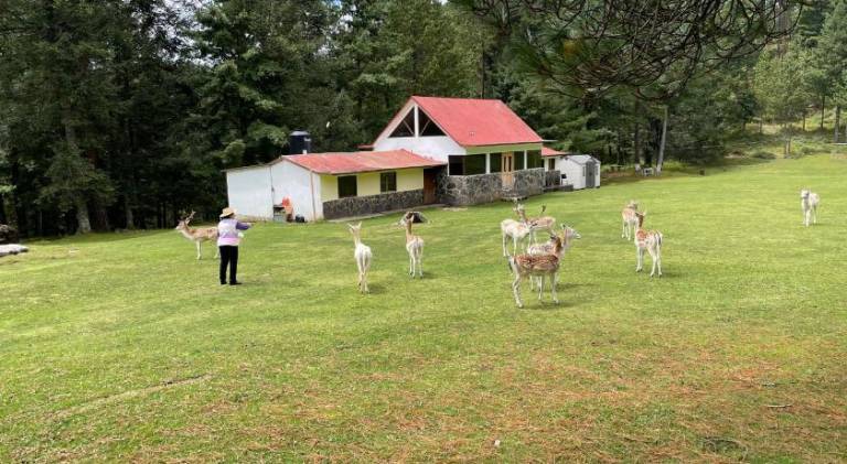 Rancho Ecologico El Mirador — photo 2